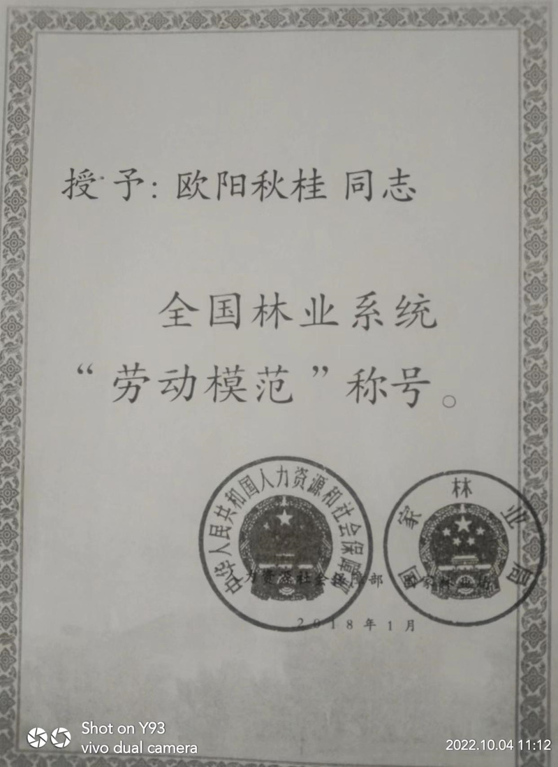 成果展示15