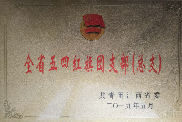 成果展示11