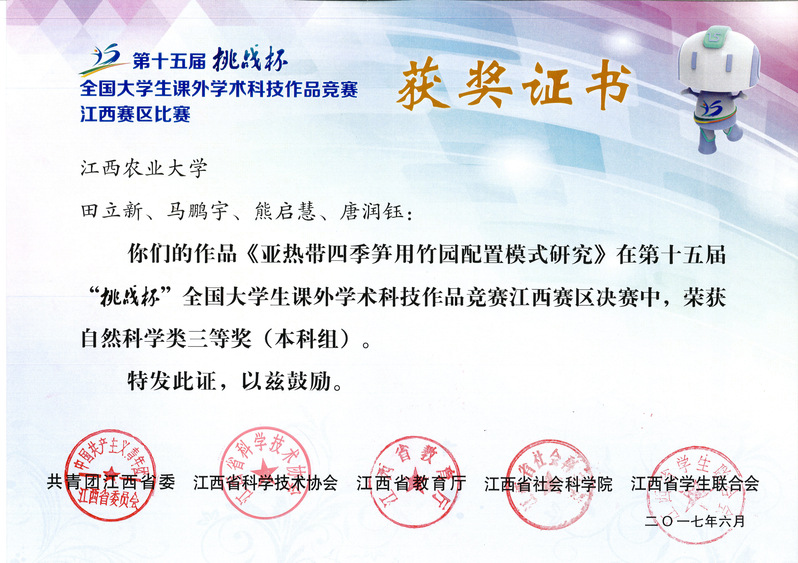 成果展示13